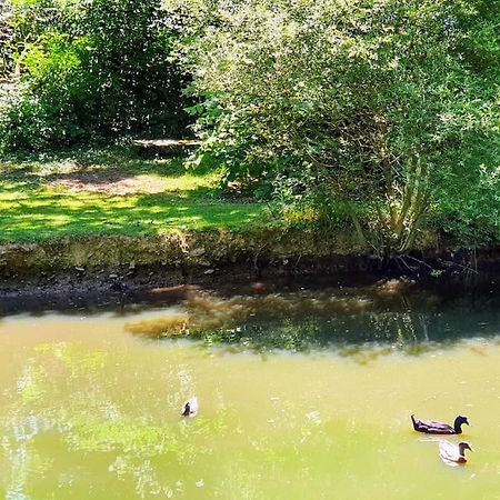 Tout Le Confort Au Milieu D'Un Parc Botanique Noyal-Muzillac Exterior foto